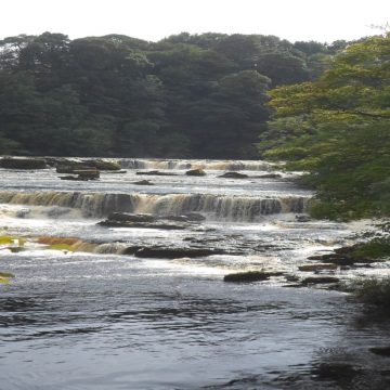 image11